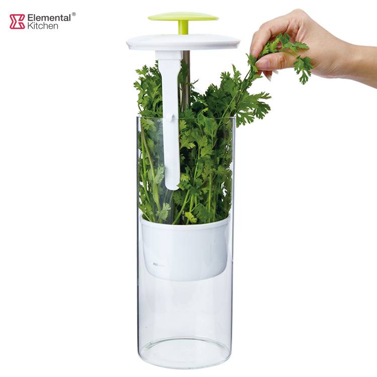 Extra Large Glass Design Herb Keeper For Greens And Vegetables