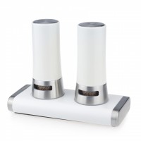 2*60ml stainless steel jars with magnetic base 3 in 1automatic open/close cruet shaker set